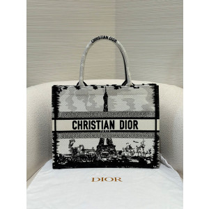 디올 북토트백 미디움