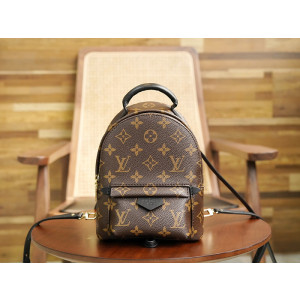 루이비통 팜스프링 백팩 미니 M44873 (upgrade ver.)