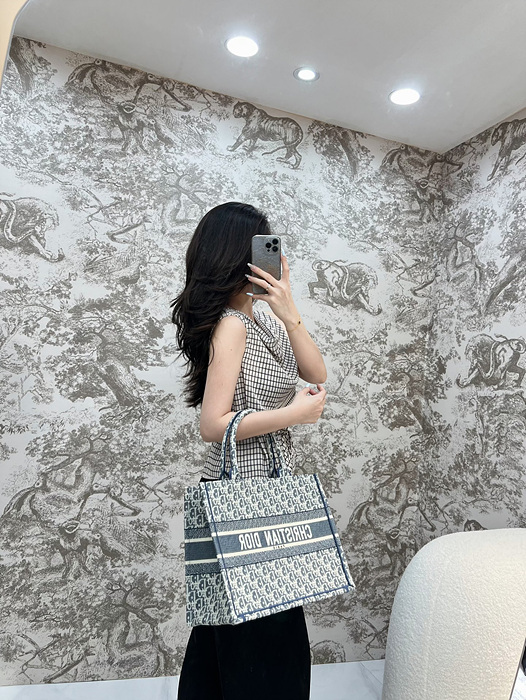 디올 북토트백 미디움 샴브레이