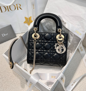 디올 레이디백 미니 (파베 참) (upgrade ver.)