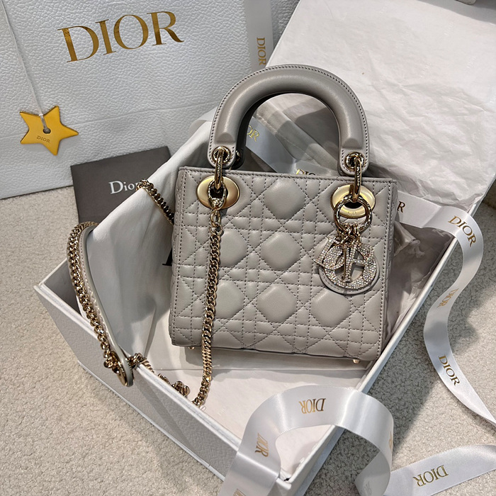 디올 레이디백 미니 (파베 참) (upgrade ver.)
