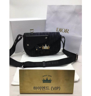 디올 새들 메신저백