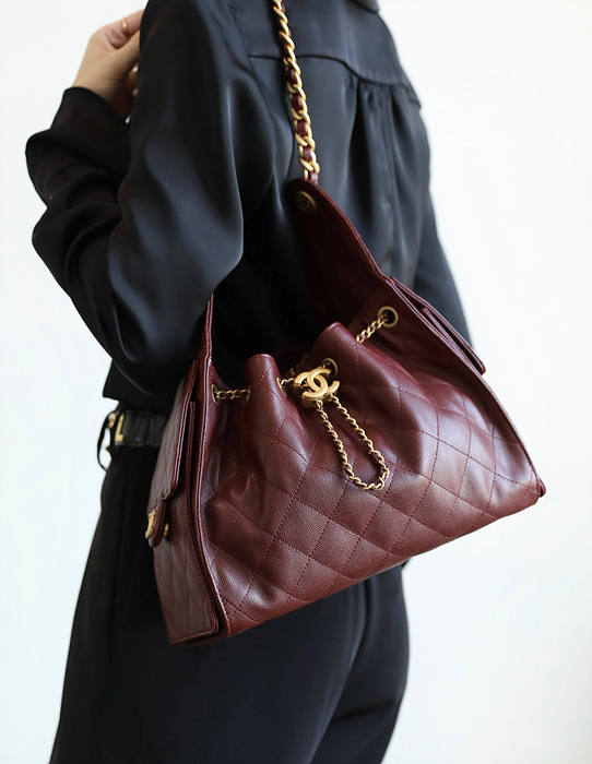 샤넬 25C 크루즈 뉴 호보백 스몰 (25백)