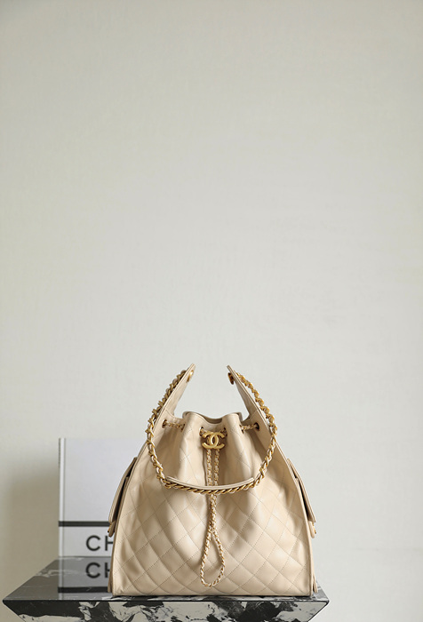 샤넬 25C 크루즈 뉴 호보백 미디움 (25백)