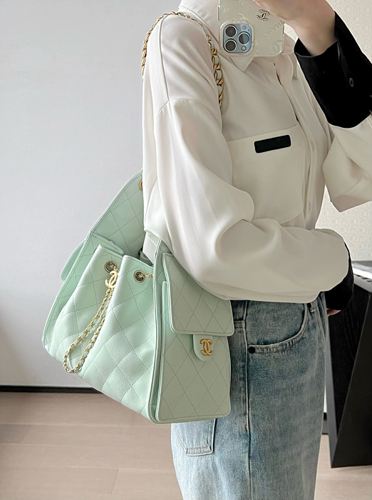 샤넬 25C 크루즈 뉴 호보백 스몰 (25백)