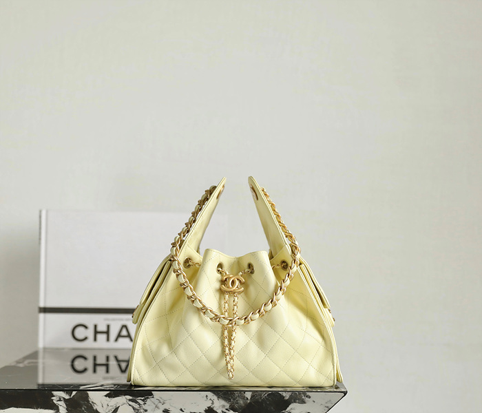 샤넬 25C 크루즈 뉴 호보백 스몰 (25백)