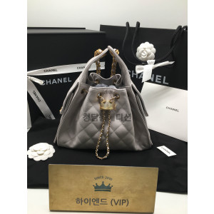 샤넬 25C 크루즈 뉴 호보백 스몰 (컬러 라이트 그레이) (25백)