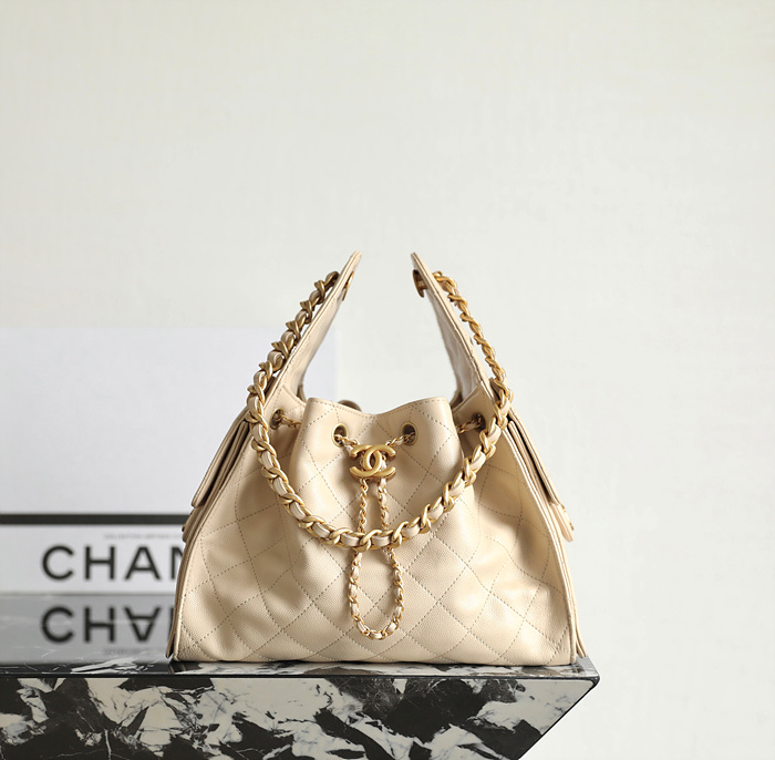 샤넬 25C 크루즈 뉴 호보백 스몰 (25백)