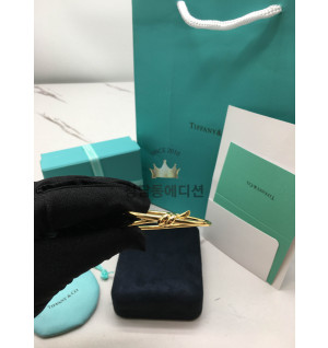 티파니 노트 더블 로우 힌지드 뱅글 (컬러 로즈골드, 옐로우골드)