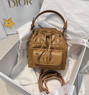 디올 카로 버킷백 나노