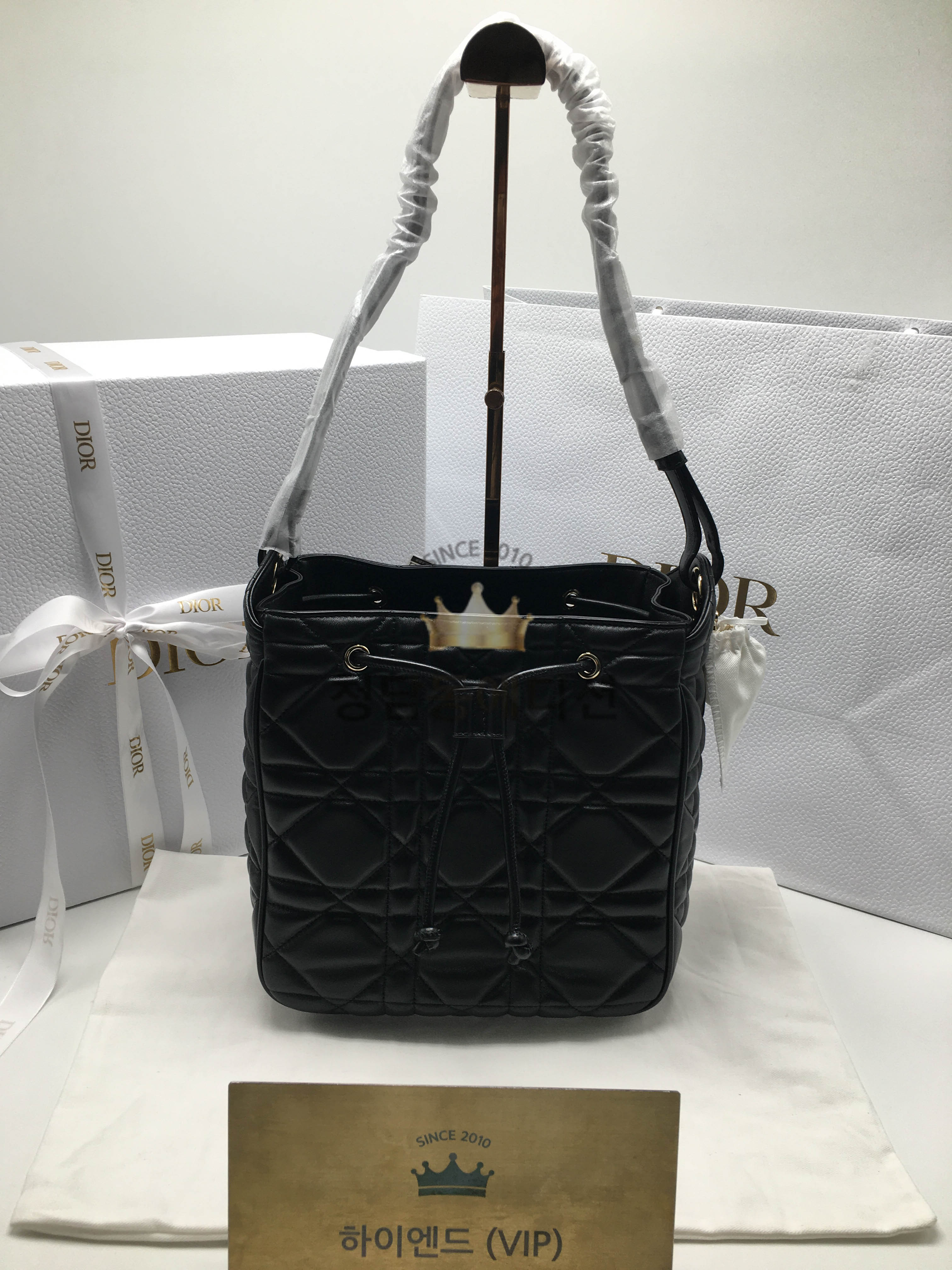 디올 D-MOTION 미디움 백