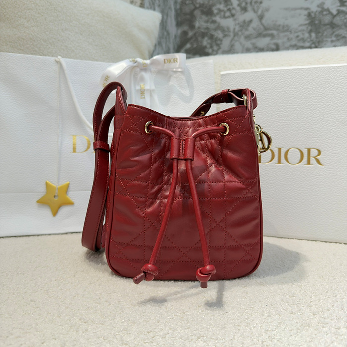 디올 D-MOTION 스몰 백