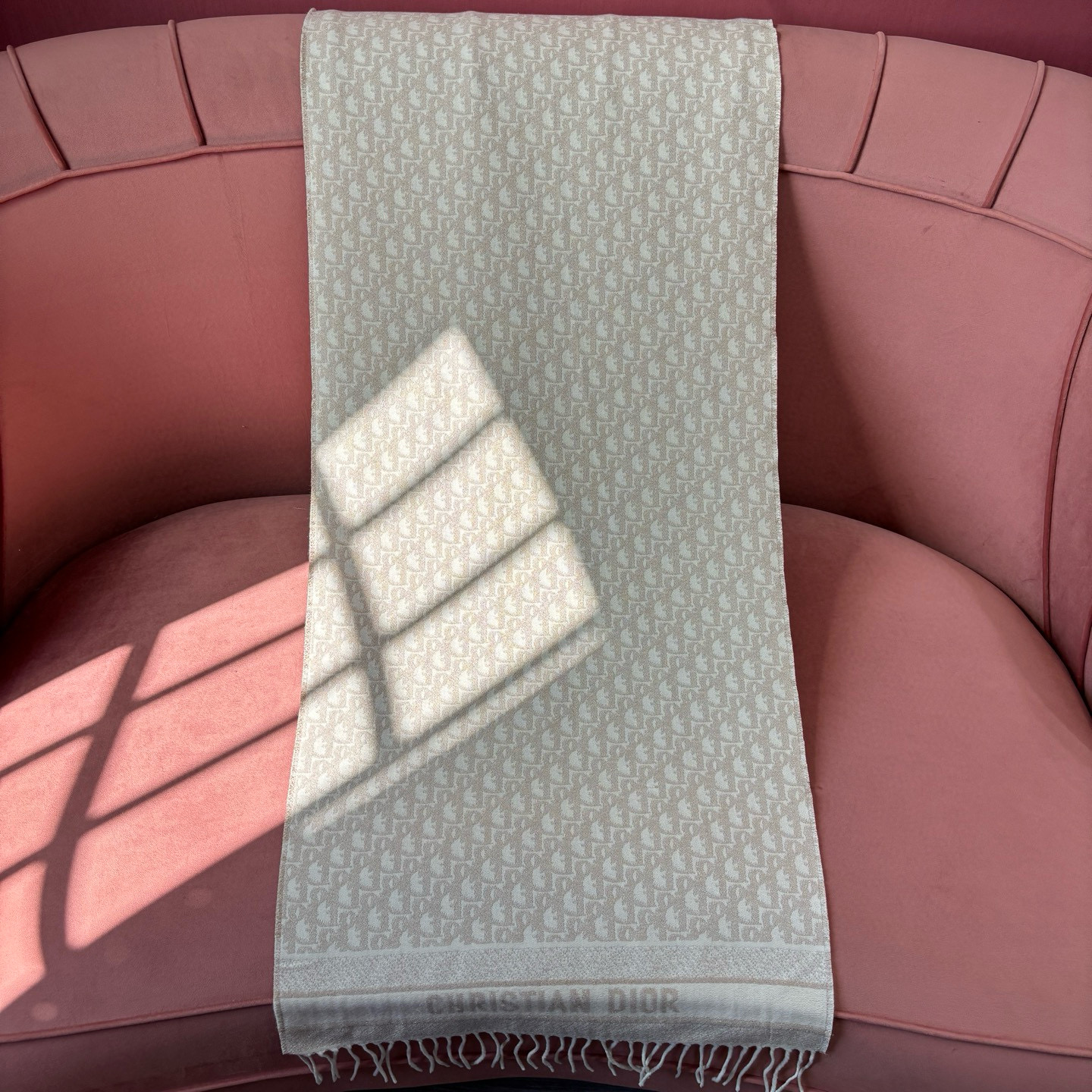 디올 로고 캐시미어 머플러